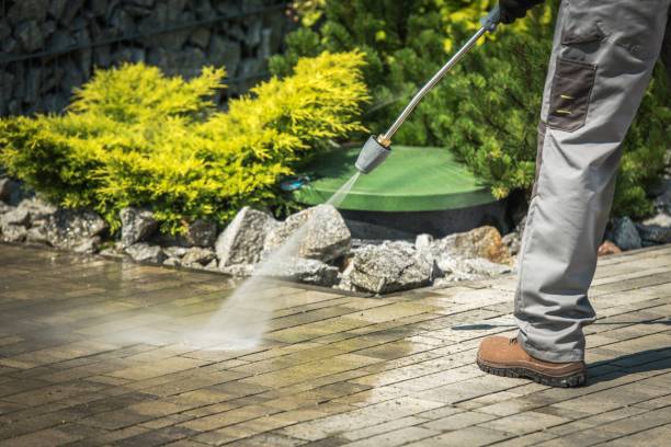 Best Sign and Awning Cleaning  in Sierra Ridge, CO